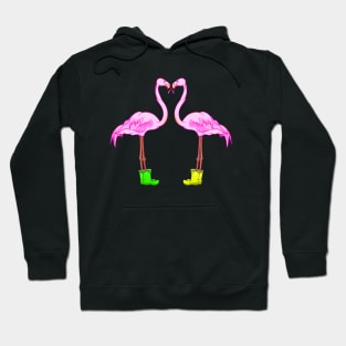 Funny Flamingos In Love Hoodie